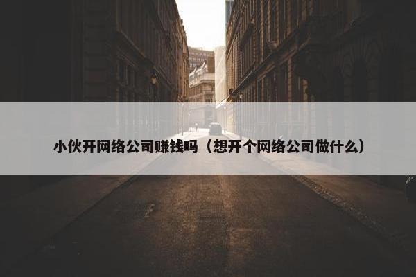 小伙开网络公司赚钱吗（想开个网络公司做什么）