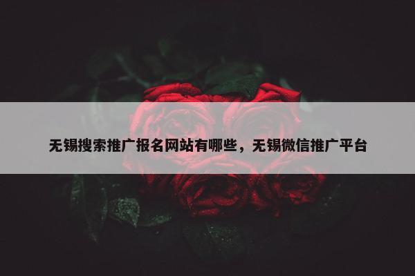无锡搜索推广报名网站有哪些，无锡微信推广平台