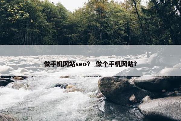 做手机网站seo？ 做个手机网站？