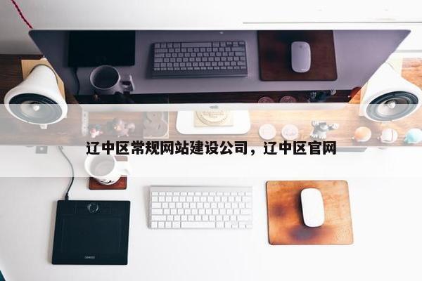 辽中区常规网站建设公司，辽中区官网