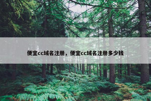 便宜cc域名注册，便宜cc域名注册多少钱