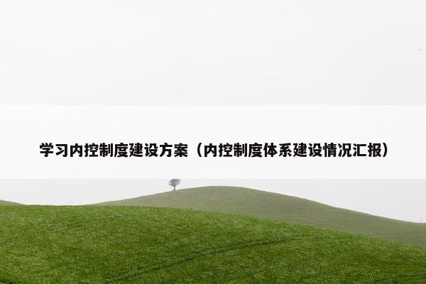 学习内控制度建设方案（内控制度体系建设情况汇报）