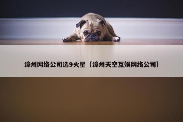 漳州网络公司选9火星（漳州天空互娱网络公司）