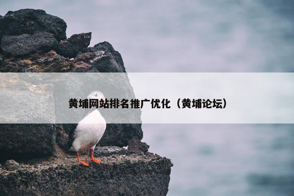 黄埔网站排名推广优化（黄埔论坛）