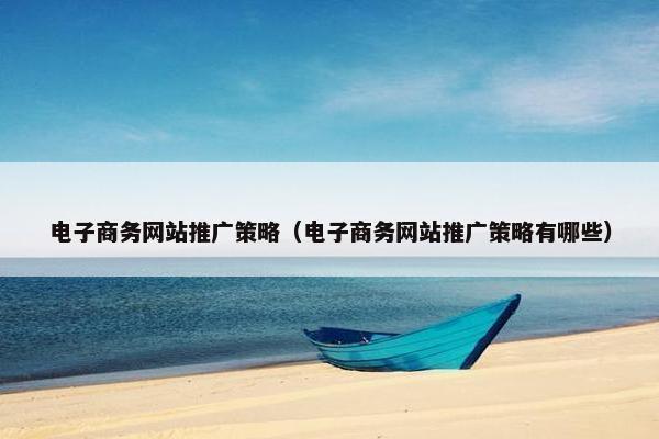电子商务网站推广策略（电子商务网站推广策略有哪些）