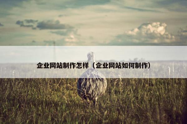 企业网站制作怎样（企业网站如何制作）