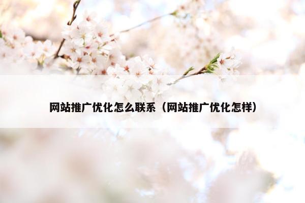 网站推广优化怎么联系（网站推广优化怎样）