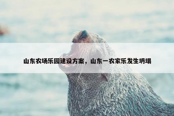 山东农场乐园建设方案，山东一农家乐发生坍塌
