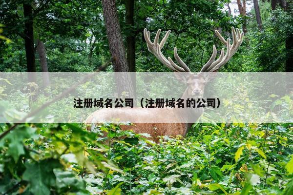 注册域名公司（注册域名的公司）