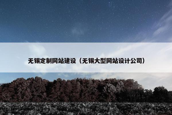 无锡定制网站建设（无锡大型网站设计公司）