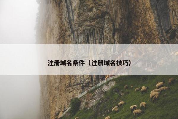 注册域名条件（注册域名技巧）