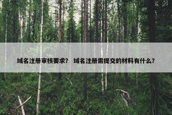 域名注册审核要求？ 域名注册需提交的材料有什么？