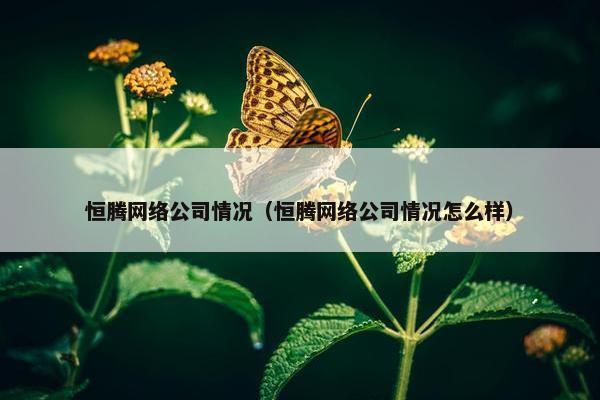 恒腾网络公司情况（恒腾网络公司情况怎么样）