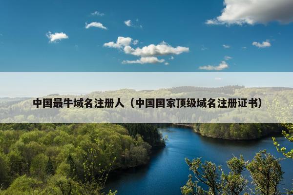 中国最牛域名注册人（中国国家顶级域名注册证书）