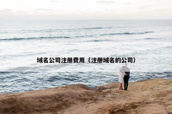 域名公司注册费用（注册域名的公司）