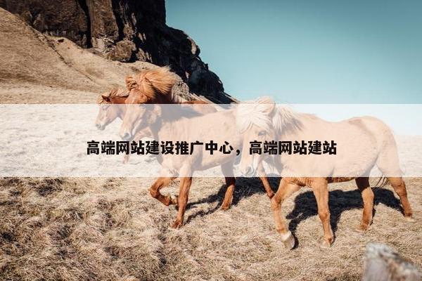 高端网站建设推广中心，高端网站建站