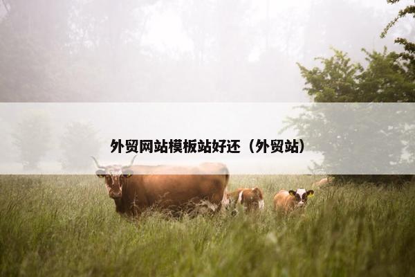 外贸网站模板站好还（外贸站）