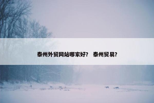 泰州外贸网站哪家好？ 泰州贸易？