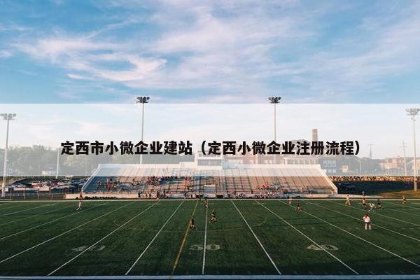 定西市小微企业建站（定西小微企业注册流程）