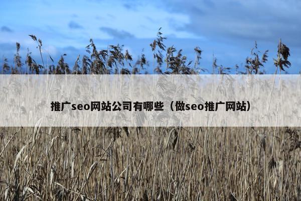 推广seo网站公司有哪些（做seo推广网站）