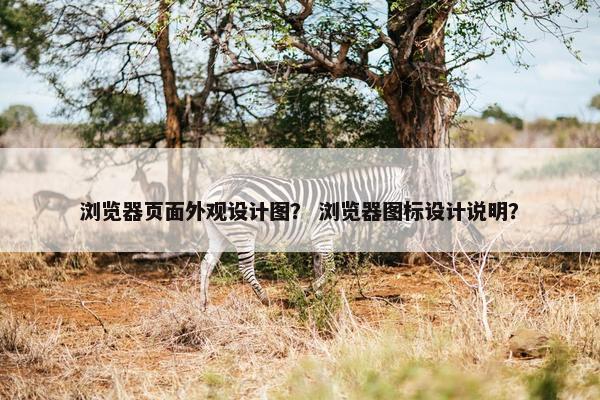 浏览器页面外观设计图？ 浏览器图标设计说明？