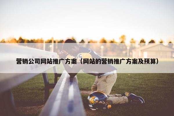 营销公司网站推广方案（网站的营销推广方案及预算）