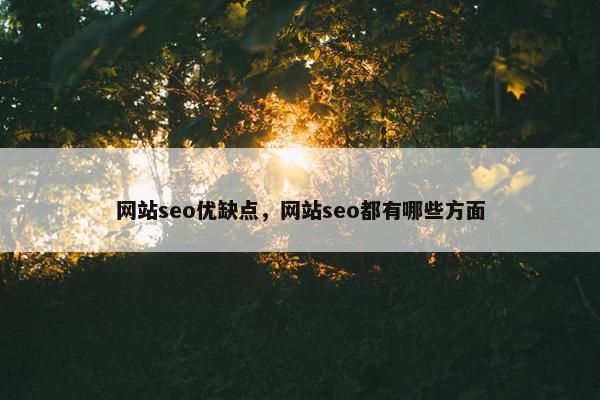 网站seo优缺点，网站seo都有哪些方面