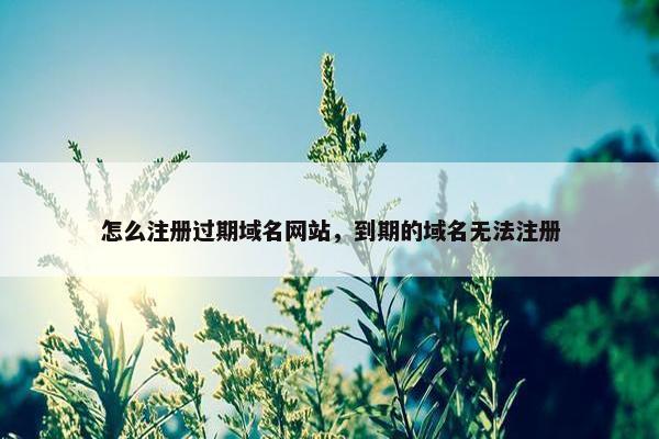 怎么注册过期域名网站，到期的域名无法注册