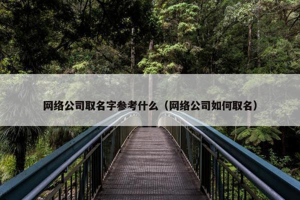 网络公司取名字参考什么（网络公司如何取名）