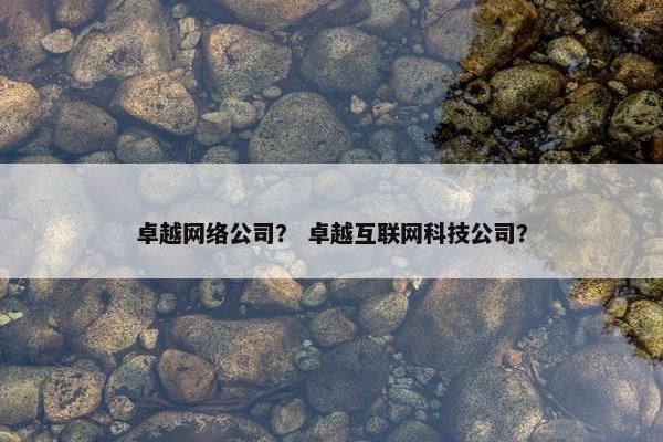 卓越网络公司？ 卓越互联网科技公司？