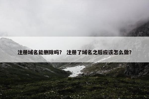 注册域名能删除吗？ 注册了域名之后应该怎么做？