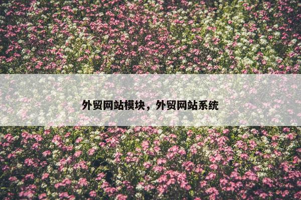 外贸网站模块，外贸网站系统