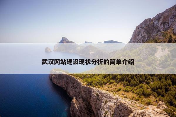 武汉网站建设现状分析的简单介绍