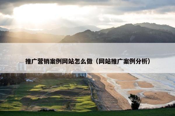 推广营销案例网站怎么做（网站推广案例分析）