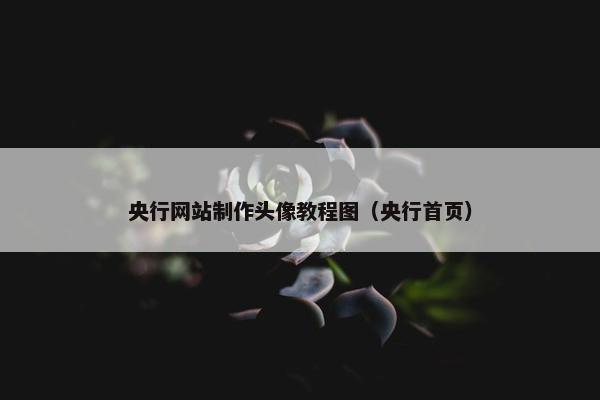 央行网站制作头像教程图（央行首页）