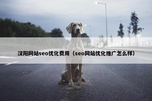汉阳网站seo优化费用（seo网站优化推广怎么样）