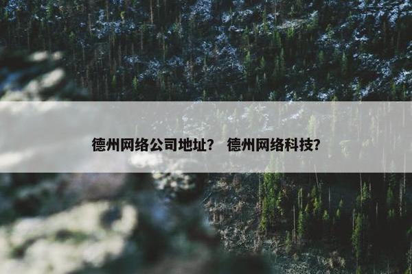 德州网络公司地址？ 德州网络科技？
