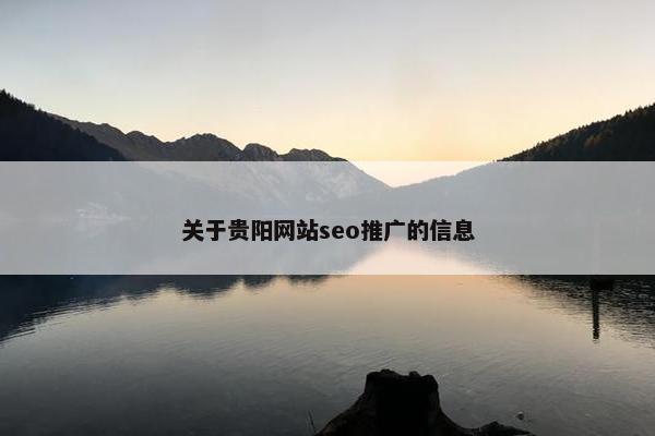 关于贵阳网站seo推广的信息