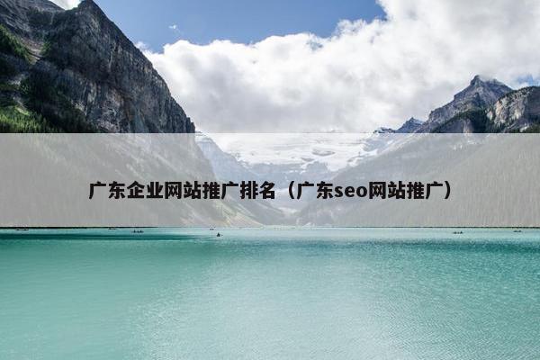 广东企业网站推广排名（广东seo网站推广）