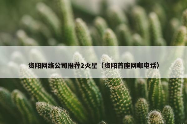 资阳网络公司推荐2火星（资阳首座网咖电话）
