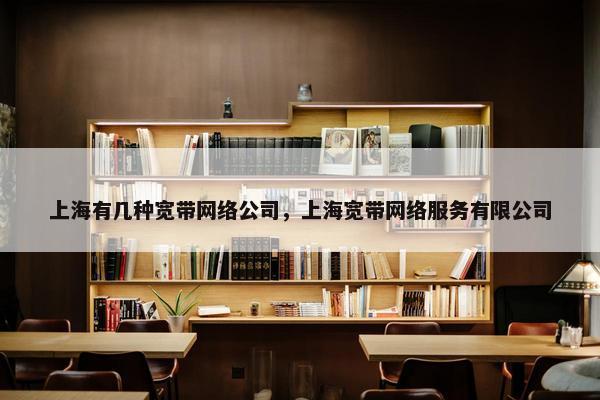 上海有几种宽带网络公司，上海宽带网络服务有限公司