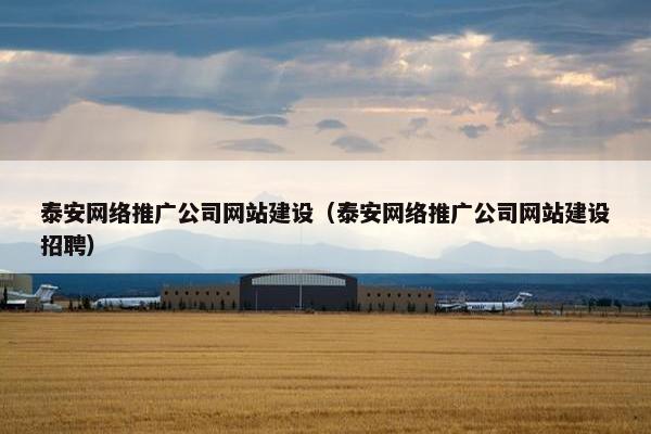 泰安网络推广公司网站建设（泰安网络推广公司网站建设招聘）