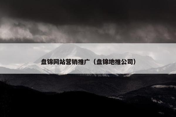 盘锦网站营销推广（盘锦地推公司）