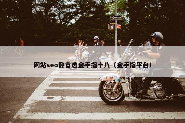 网站seo捌首选金手指十八（金手指平台）