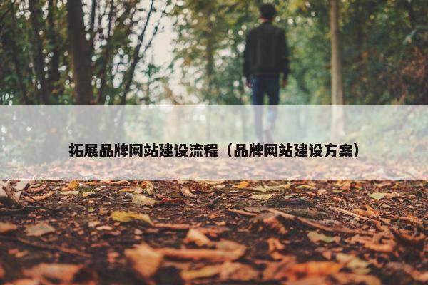 拓展品牌网站建设流程（品牌网站建设方案）