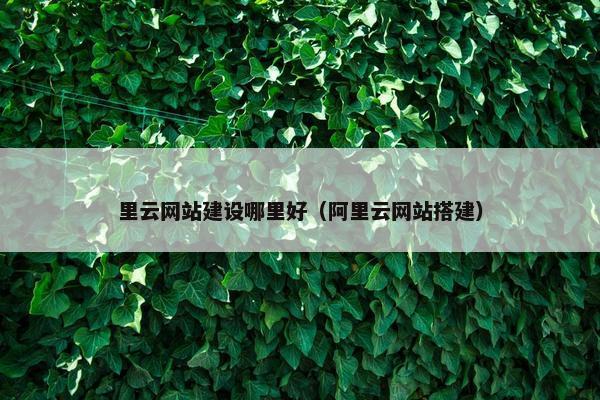 里云网站建设哪里好（阿里云网站搭建）