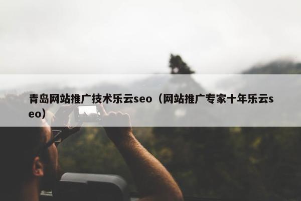 青岛网站推广技术乐云seo（网站推广专家十年乐云seo）