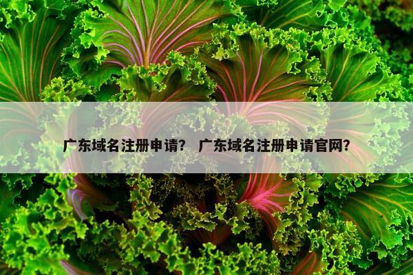 广东域名注册申请？ 广东域名注册申请官网？
