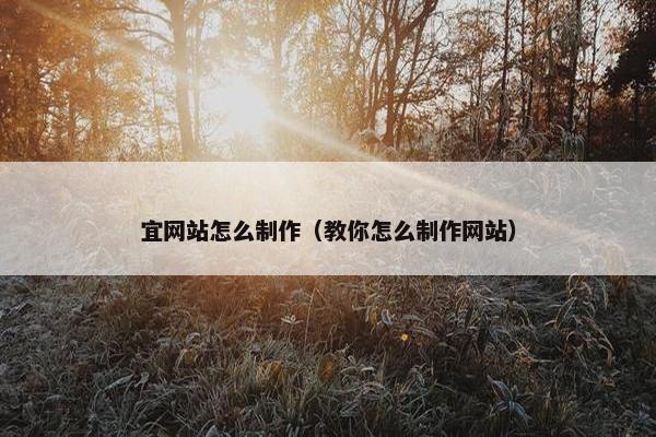 宜网站怎么制作（教你怎么制作网站）