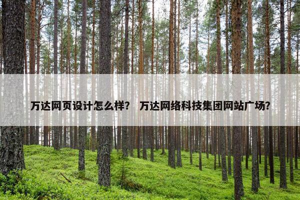 万达网页设计怎么样？ 万达网络科技集团网站广场？